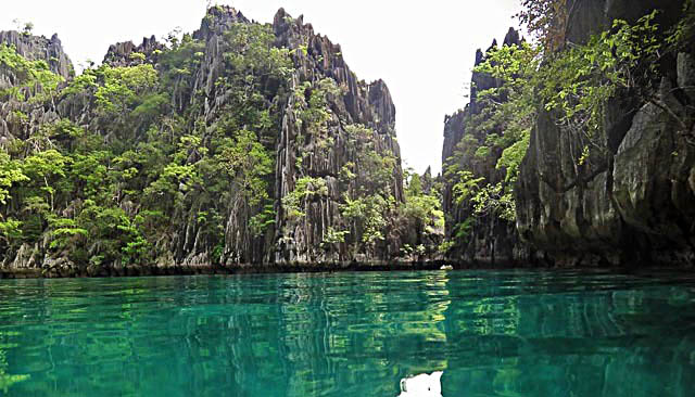 Snorkeling near Coron