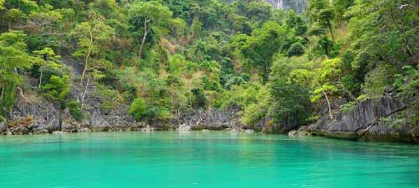 Snorkeling near Coron