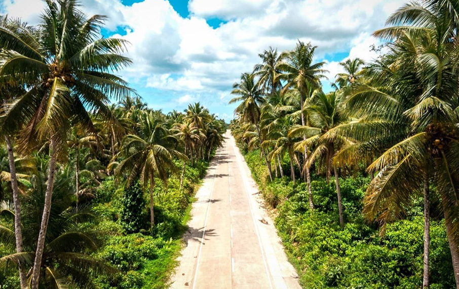 Palm Tree Road Siargao