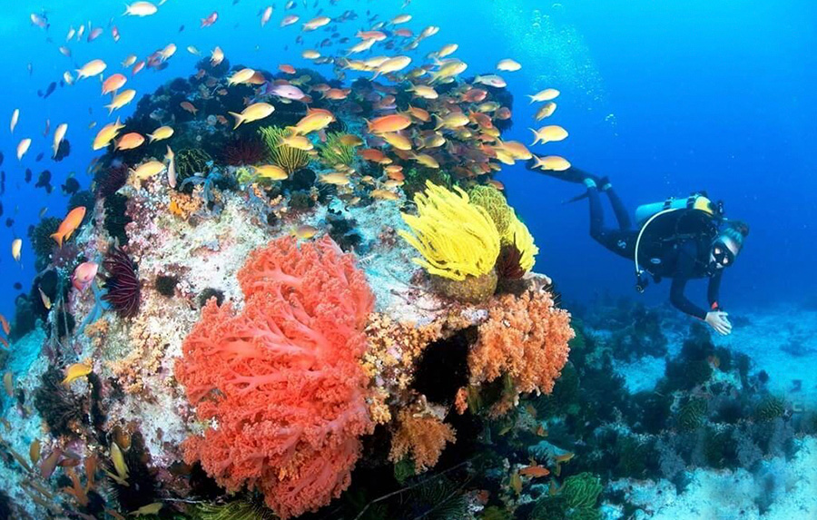 Diving in Camiguin